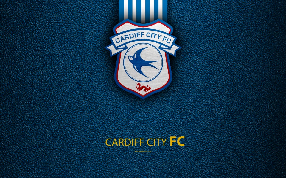 Download Cardiff City FC 4K English football club logo wallpaper