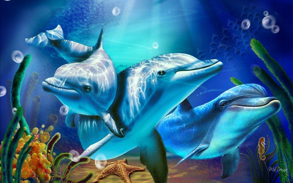 Download Dolphin Wallpapers HD Wallpaper - GetWalls.io