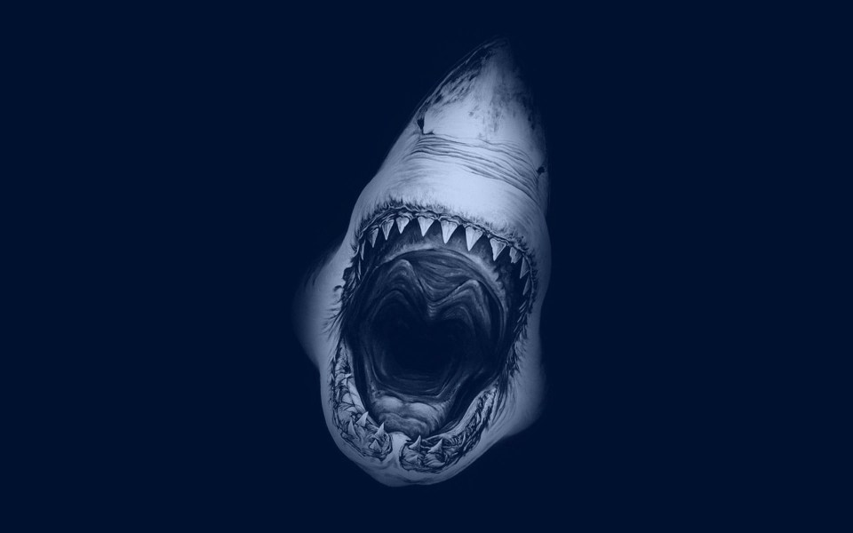 Download Jaws Movie Poster desktop wallpapers wallpaper