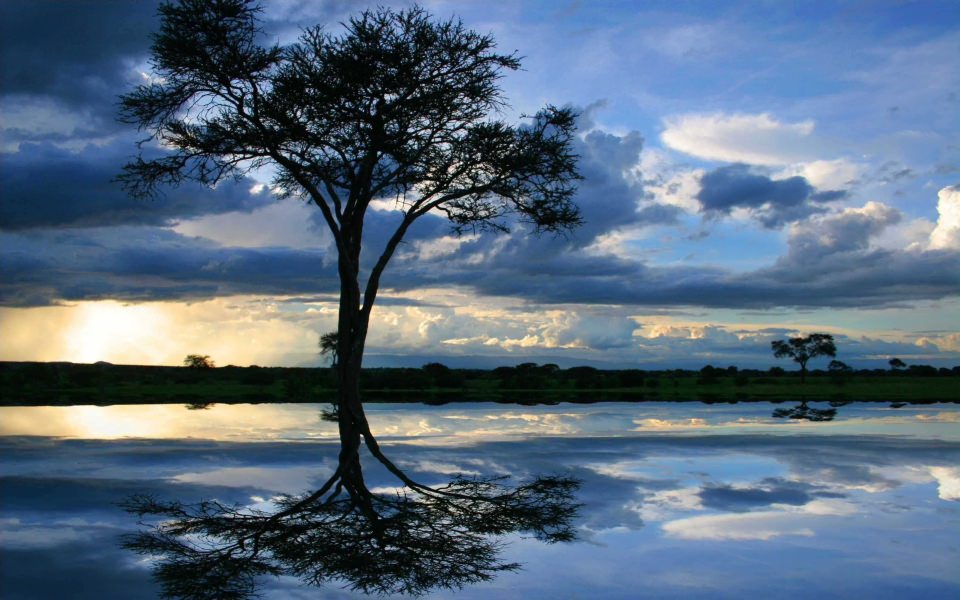 Download Lake Africa Water Tanzania Blue Tree wallpaper