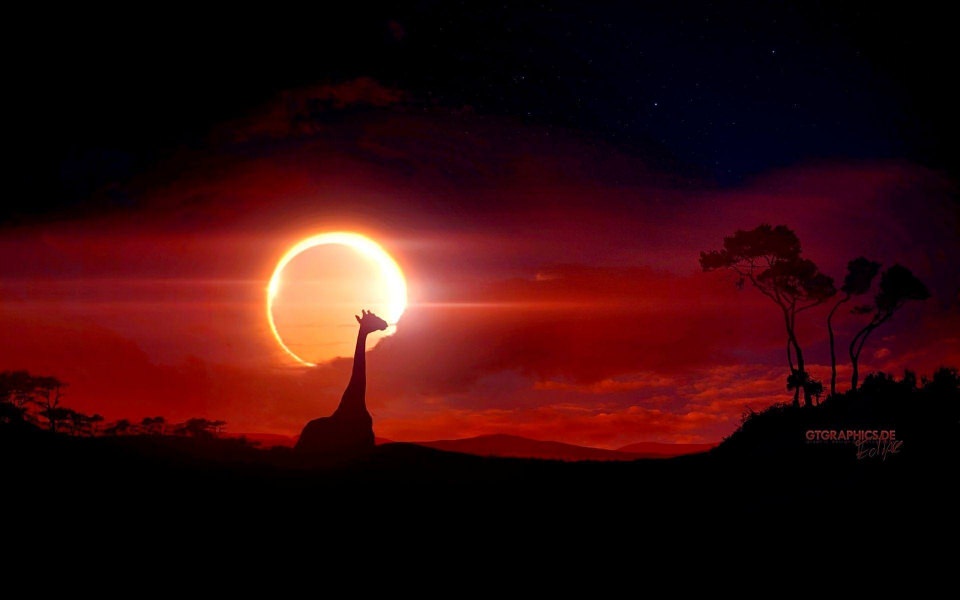 Download Lunar Eclipse Viewed From Merritt Island Florida wallpaper