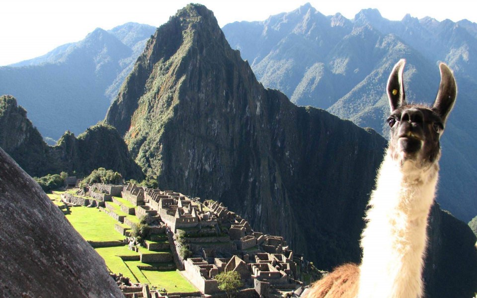 Download Machu Picchu Wallpapers National Geographic wallpaper
