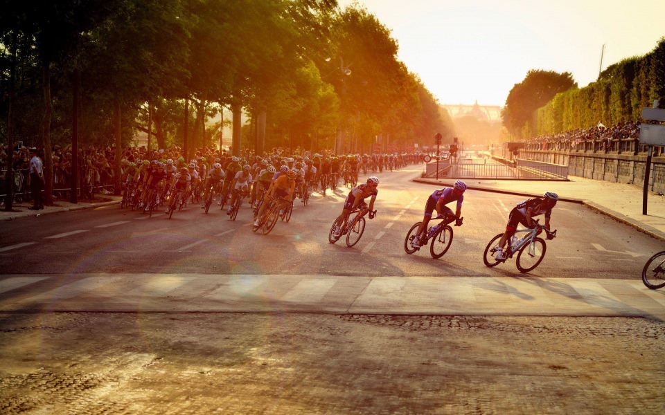 Download marathon bike cyclists athletes wallpaper