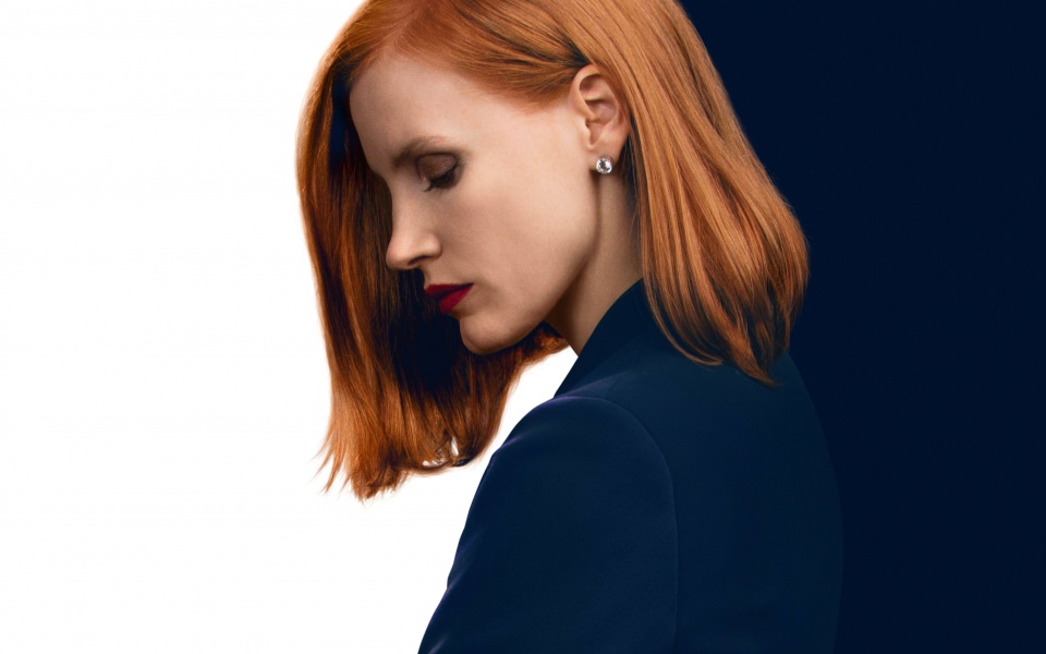 Download Miss Sloane Jessica Chastain wallpaper