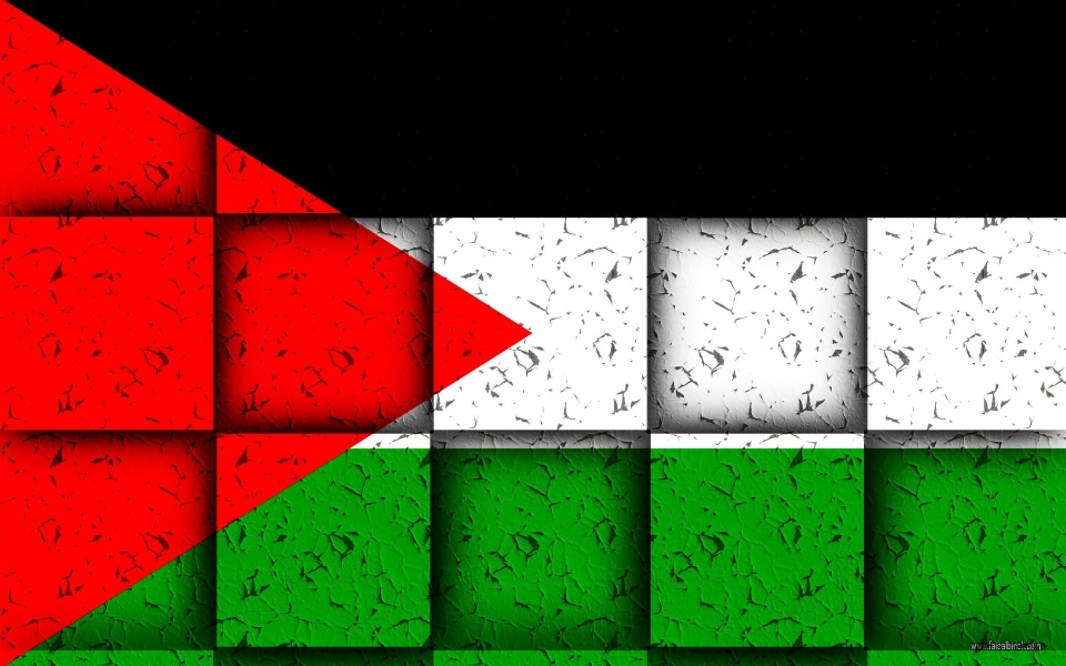 Download palestine flag 2020 wallpaper