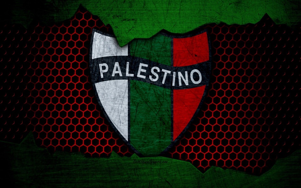 Download PALESTINO club logo wallpaper