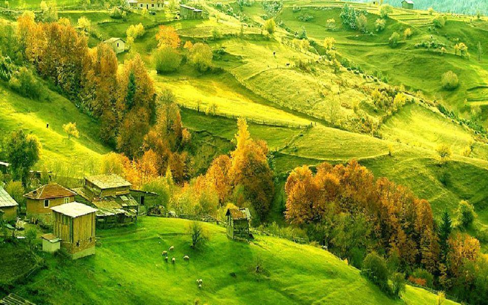 Download Tuscan Countryside Wallpapers Desktop wallpaper