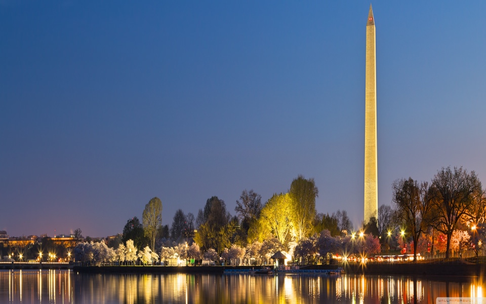 Download Washington DC Memorials at Night 4K wallpaper