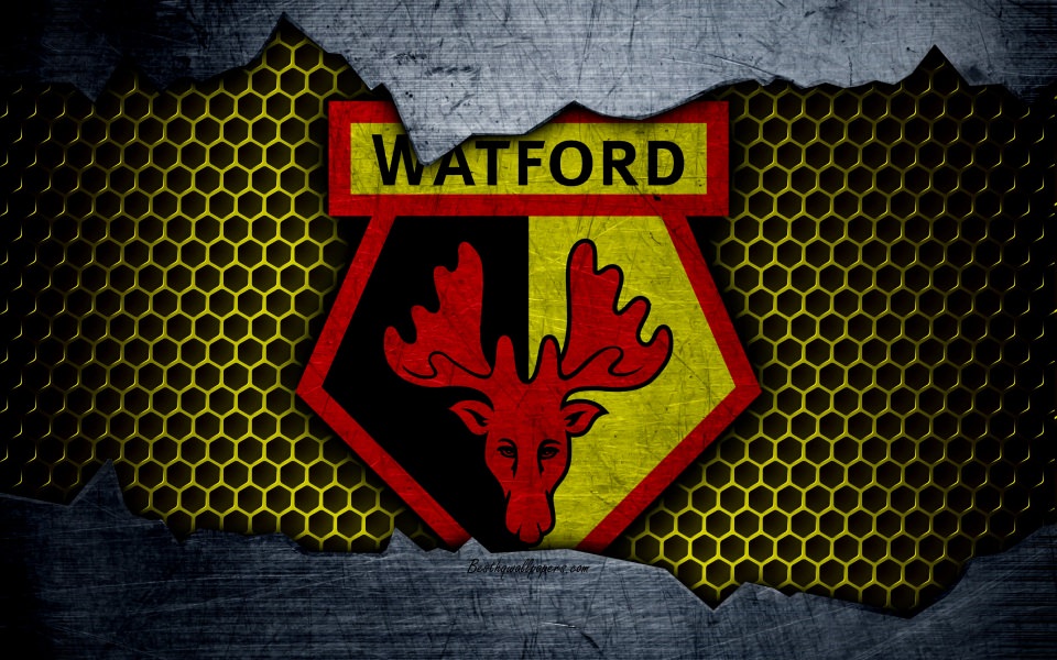 Download Watford FC 4k football Premier League wallpaper