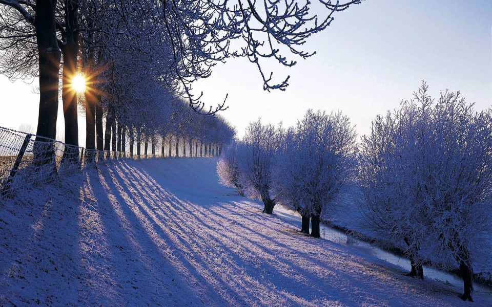 Download Winter Landscapes 2021 wallpaper