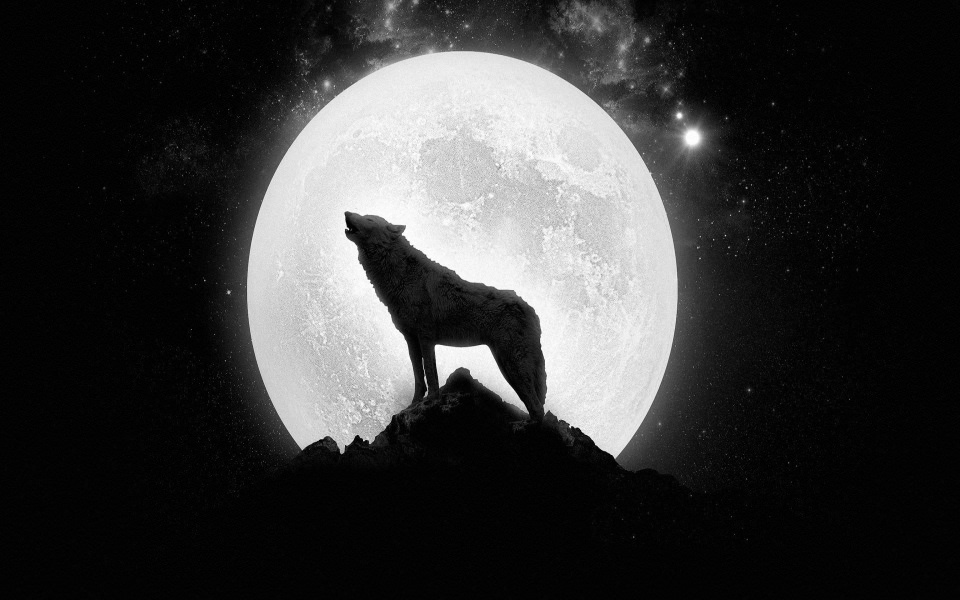 Download Wolf Super Moon Wallpapers Android wallpaper