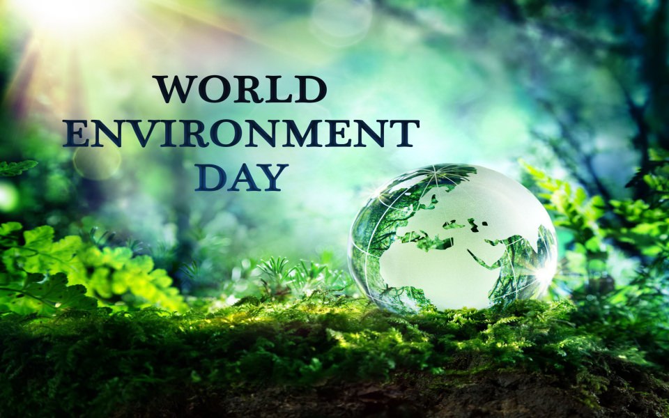 Download World Environment Day Hand Nature wallpaper