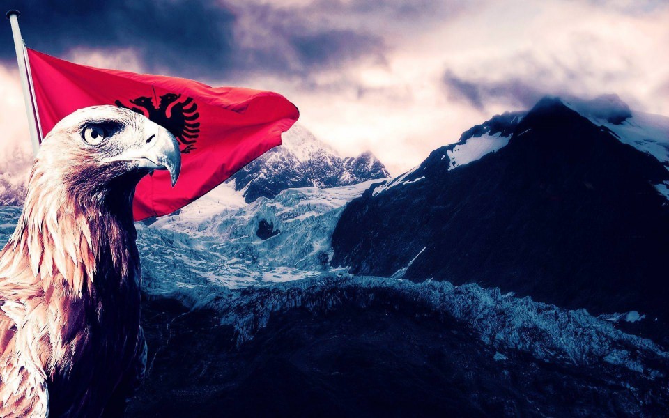 Download Albania Flag Eagle 3D 5K Picture wallpaper