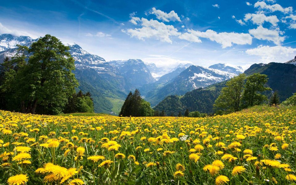 Download Alps iPhone HD Wallpapers wallpaper
