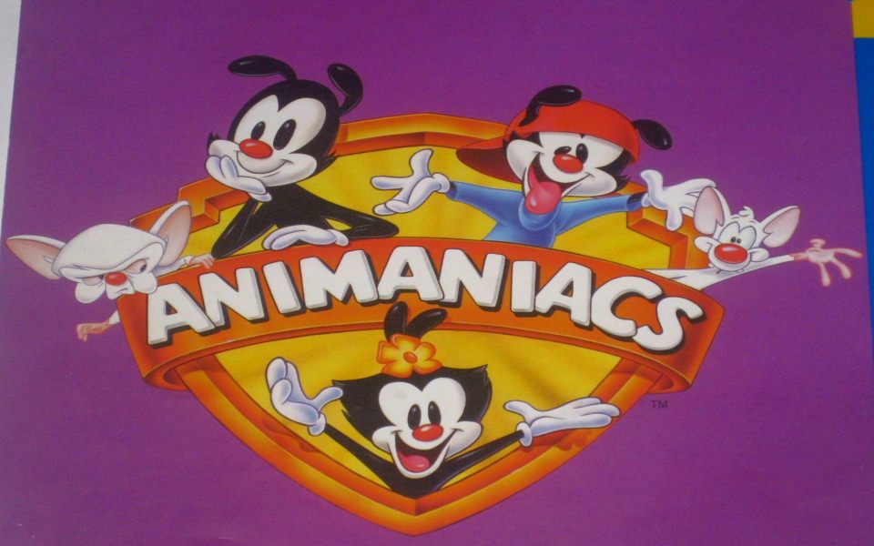 Download Animaniacs Logo wallpaper