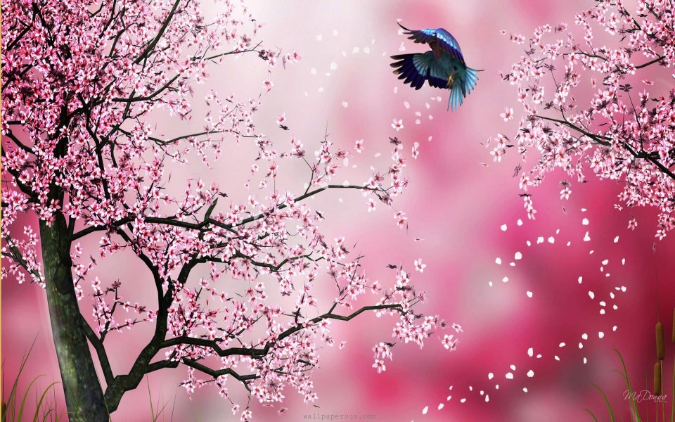 Download Cherry Blossom Drawing in 3D 4K wallpaper