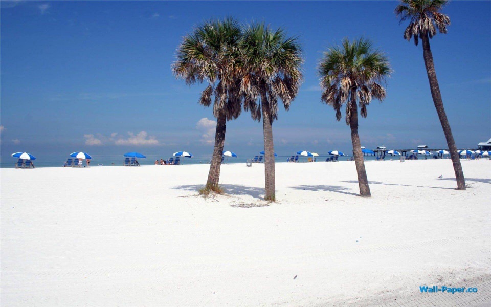 Download Clearwater Florida 2020 Phone PC 4K Wallpapers wallpaper