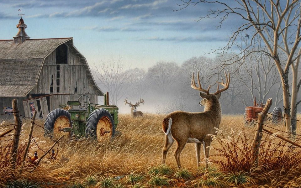 Download Deer Hunting wallpaper
