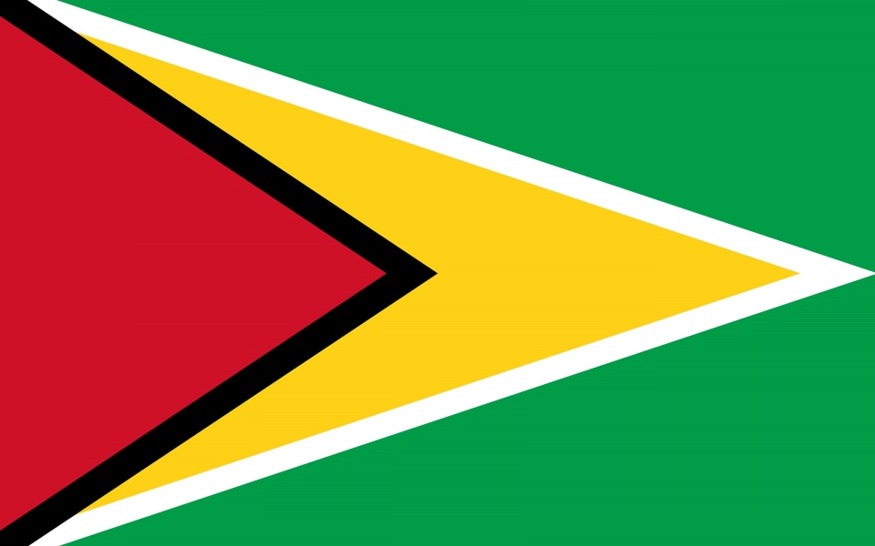 Download Guyana Flag UHD 4K Wallpapers wallpaper