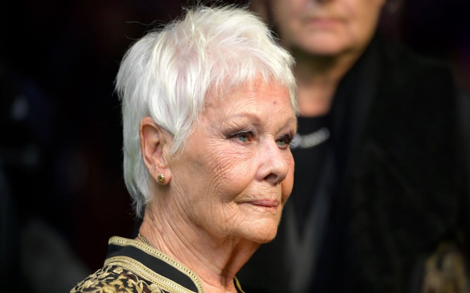 Download Judi Dench HD 2020 Images Photos Pictures wallpaper