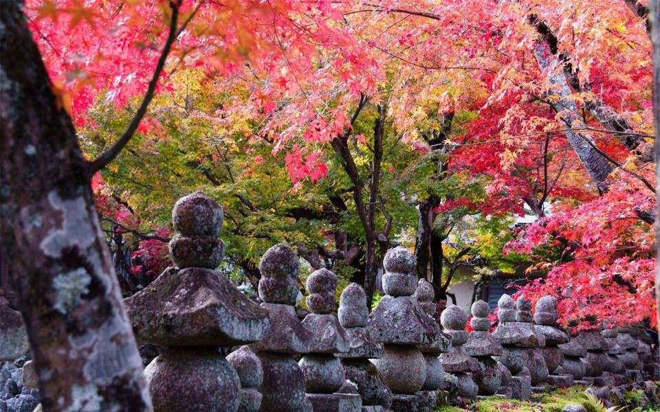 Download Kyoto Shrine iPhone 4K Wallpapers wallpaper