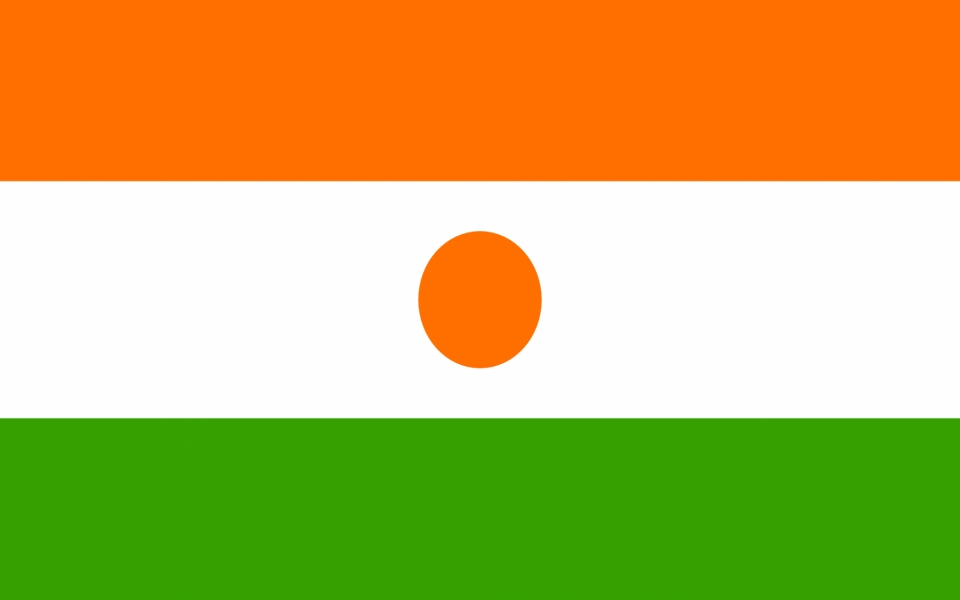 Download Niger Flag In 4K wallpaper