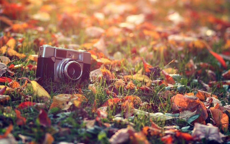 Download Old Camera Mobile Wallpapers wallpaper