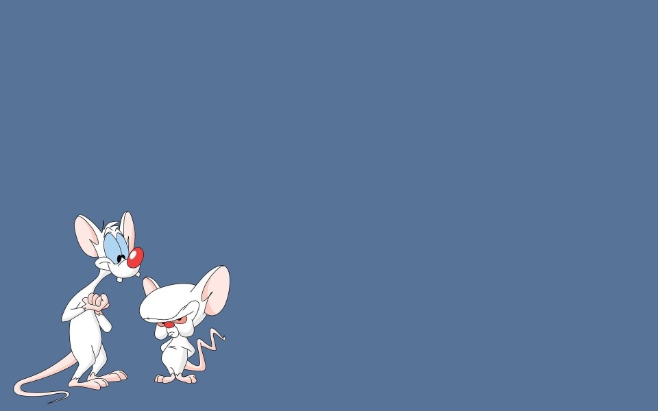 Download Pinky and the Brain Cartoon Wallpaper wallpaper