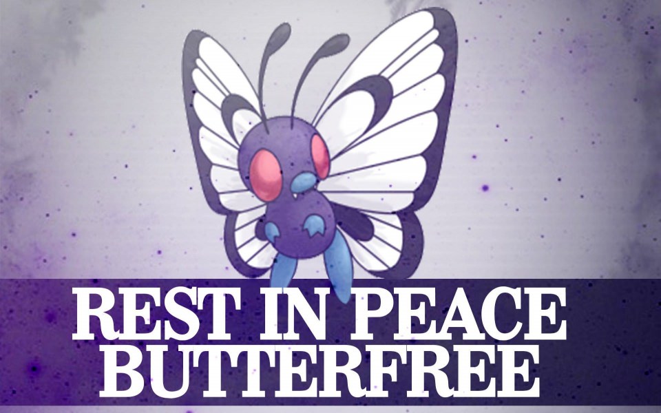 Download Sokari the Butterfree Pokemon wallpaper