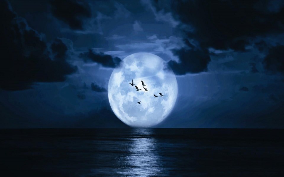 Download Supermoon On The Night Sky Above The Sea wallpaper