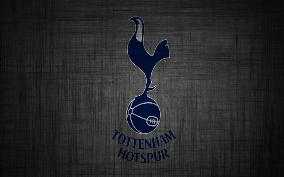 Download Tottenham Hotspur 2020 wallpaper
