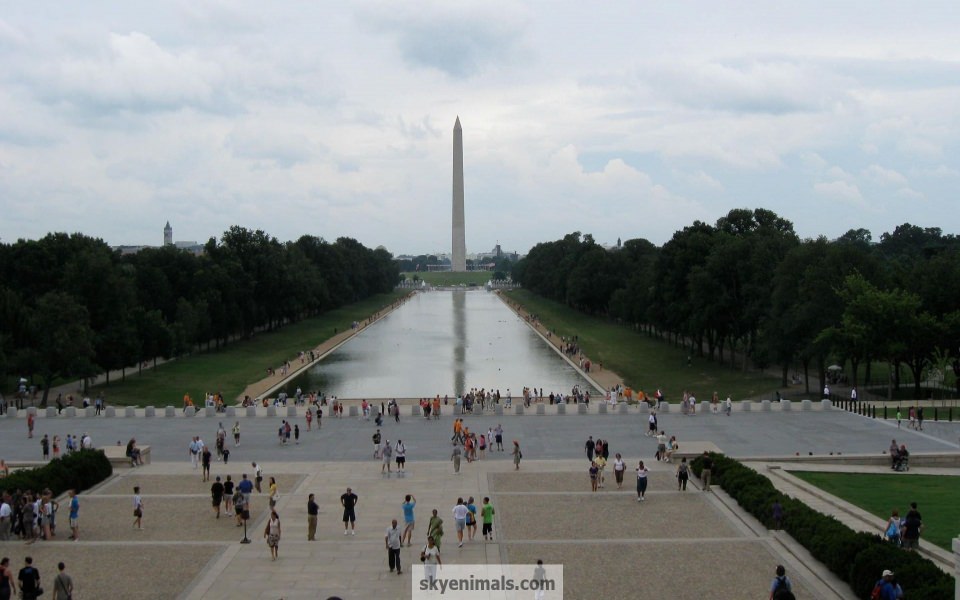 Download Washington DC Photos For Mobile wallpaper