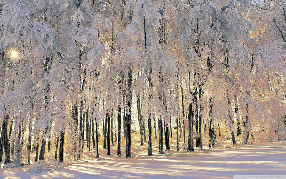 Download Winter 2020 Photos For Android iPhone 4K wallpaper