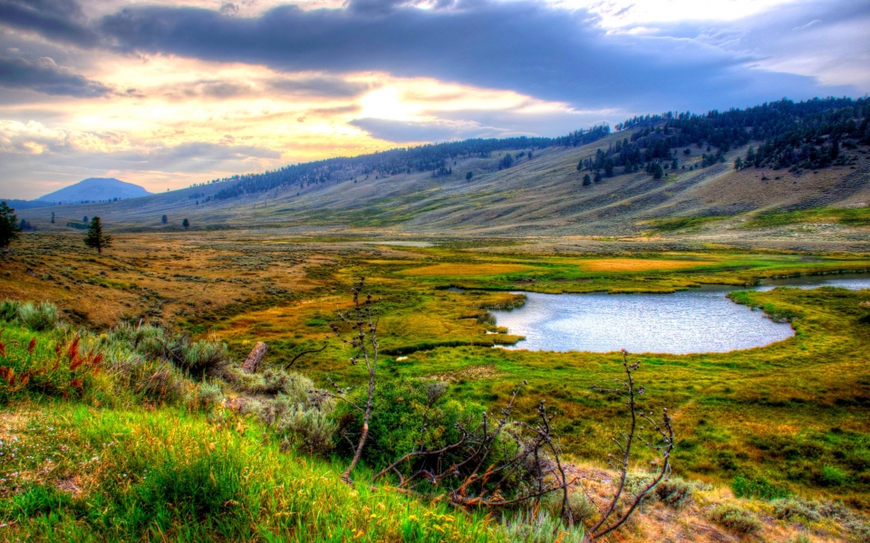 Download Yellowstone National Park HD Wallpapers wallpaper