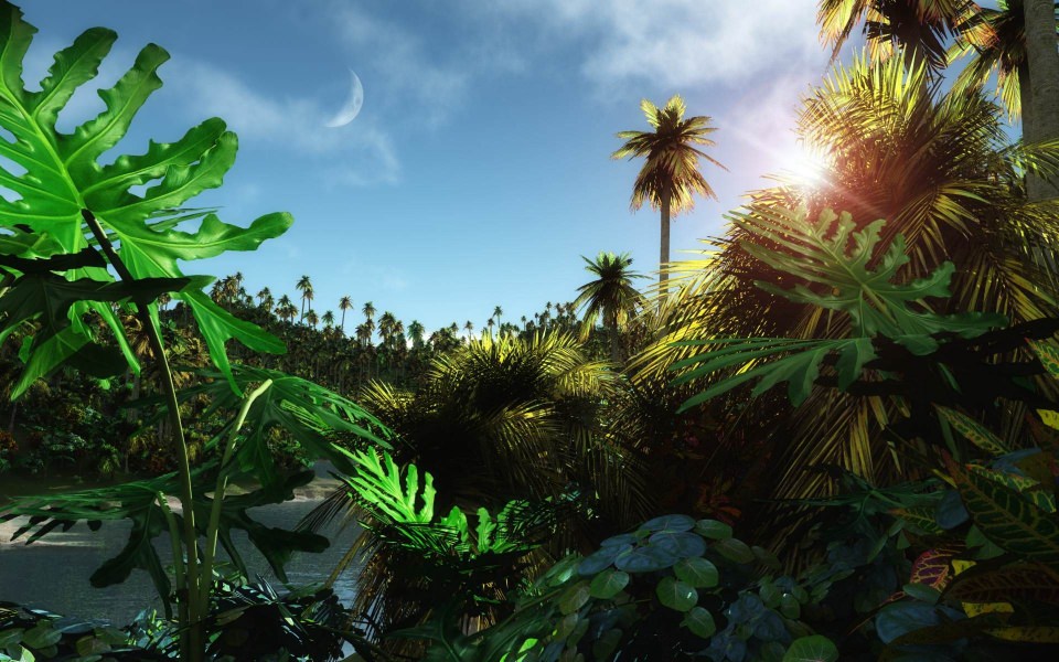 Download 3D Jungle 2020 Wallpapers For Mobile Desktop wallpaper