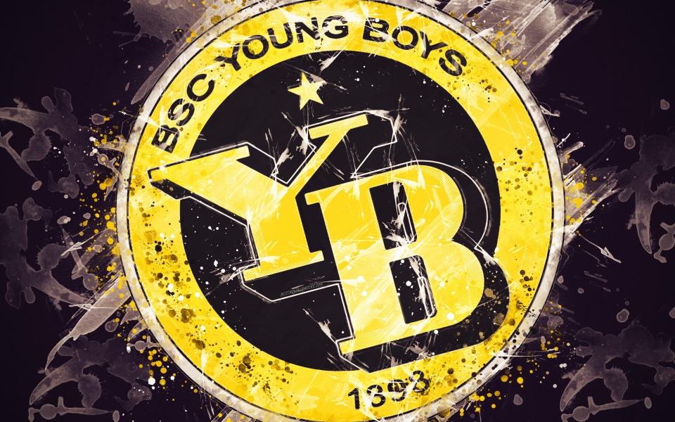 Download BSC Young Boys 4K wallpaper