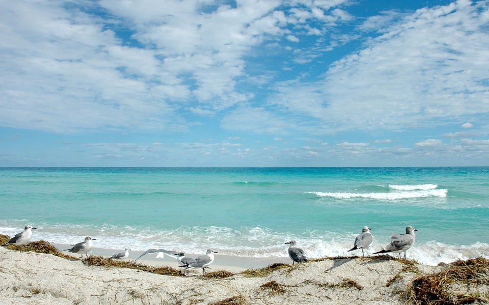 Download Florida Beaches 4K 2020 Images wallpaper