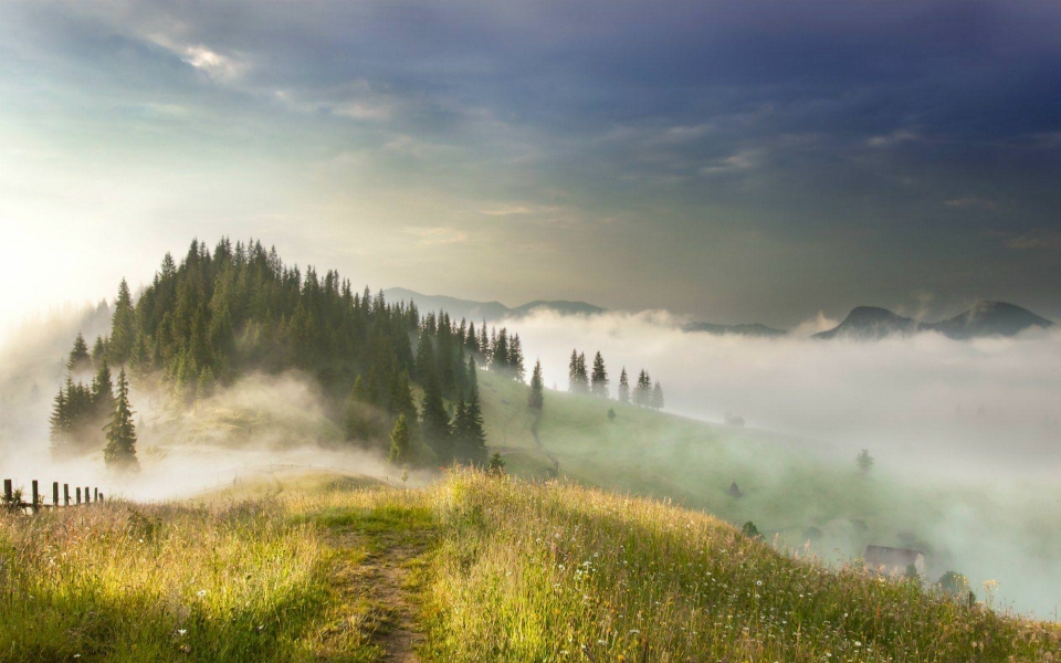 Download Fog in the Carpathian Mountains Ukraine wallpaper