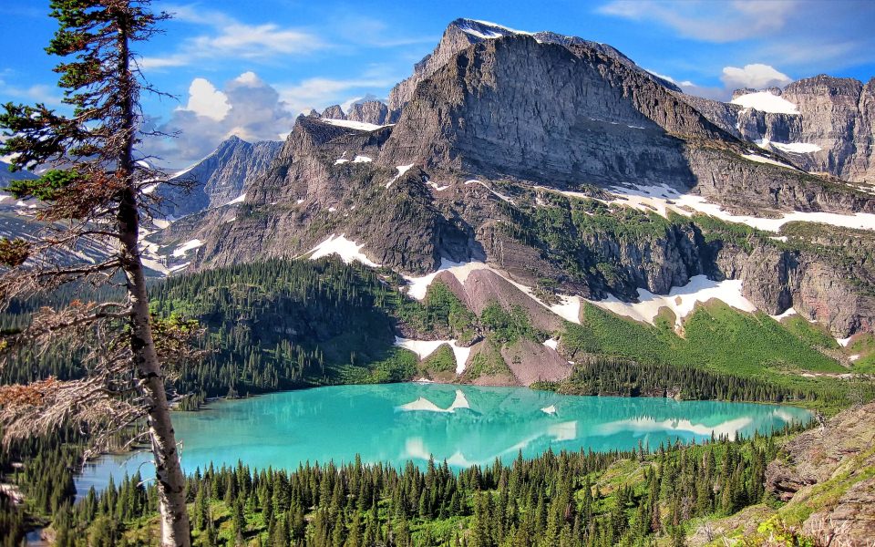 Download Glacier National Park 2020 Mobile wallpaper