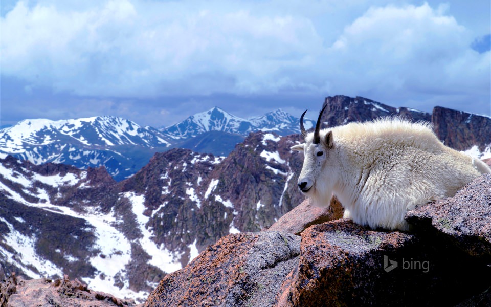 Download Mount Evans iPhone Android 2020 wallpaper