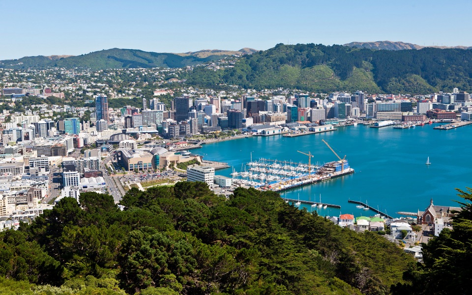 Download New Zealand Wellington 4K Aerial View wallpaper