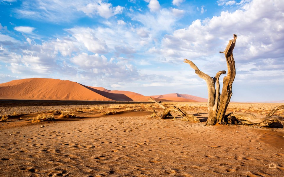 Download Sossusvlei Namibia Desert 4K wallpaper