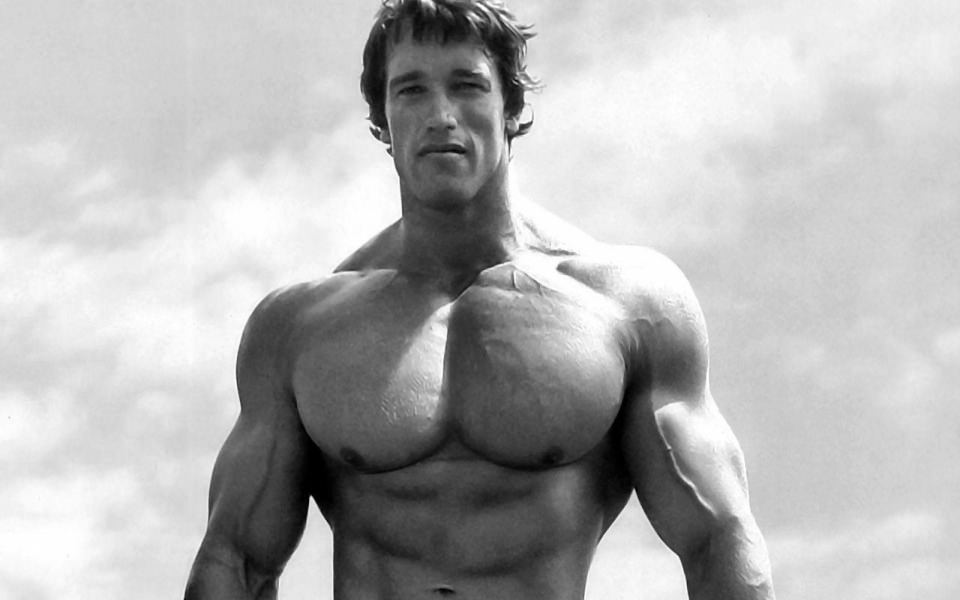 Download Arnold Schwarzenegger Body 4K wallpaper