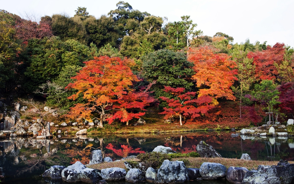 Download Autumn Leaves 4K 5K 8K HD iPad Tablet Desktop iPhone Photos wallpaper