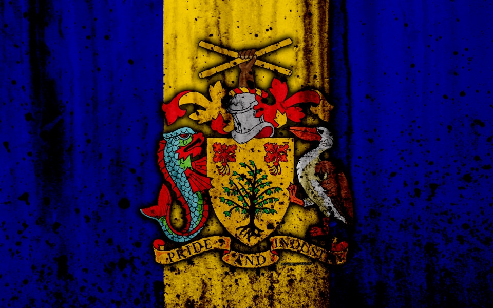 Download Barbados Flag 4K wallpaper