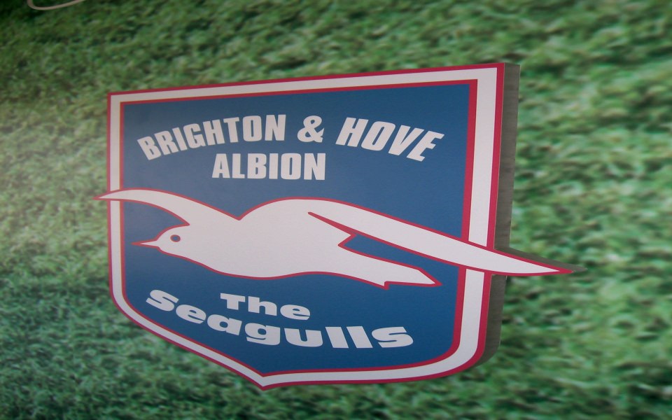 Download Brighton and Hove Albion 4K HD wallpaper