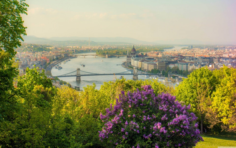 Download Budapest Citadel HD wallpaper