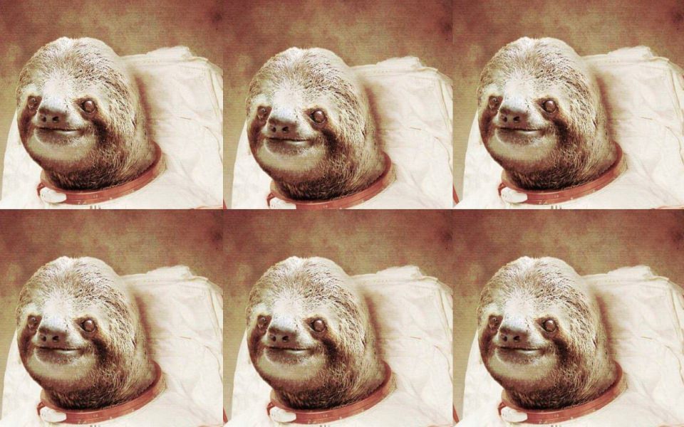 Download Captivating Sloth Astronaut wallpaper