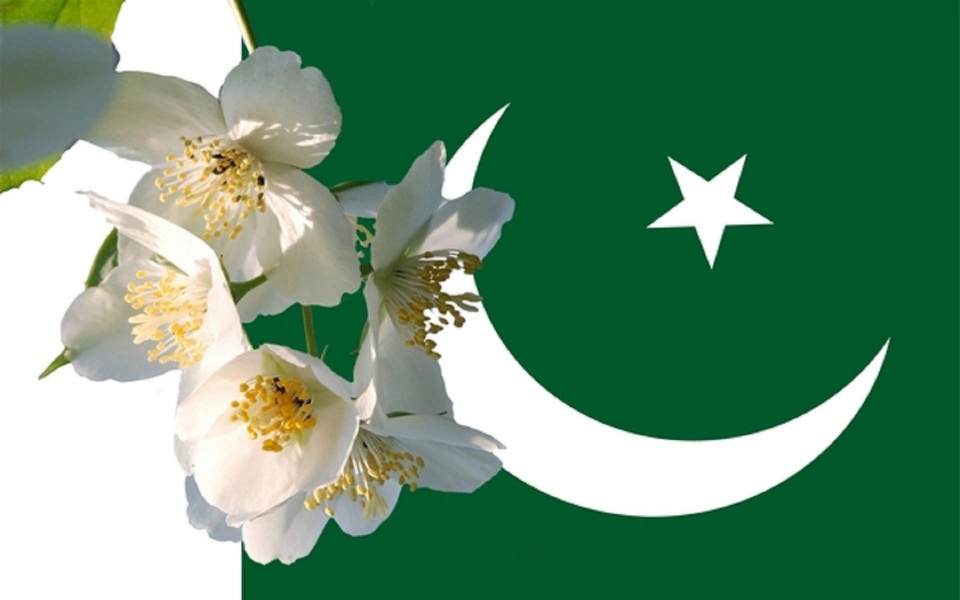 Download Pakistan Flag wallpaper
