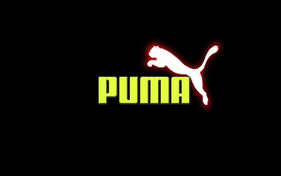 Download Puma Background Widescreen HD 6K 4K 5K 2020 wallpaper